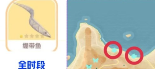 心动小镇绷带鱼怎么获得 心动小镇绷带鱼获取攻略 心动小镇绷带鱼怎么获得 心动小镇绷带鱼获取攻略
